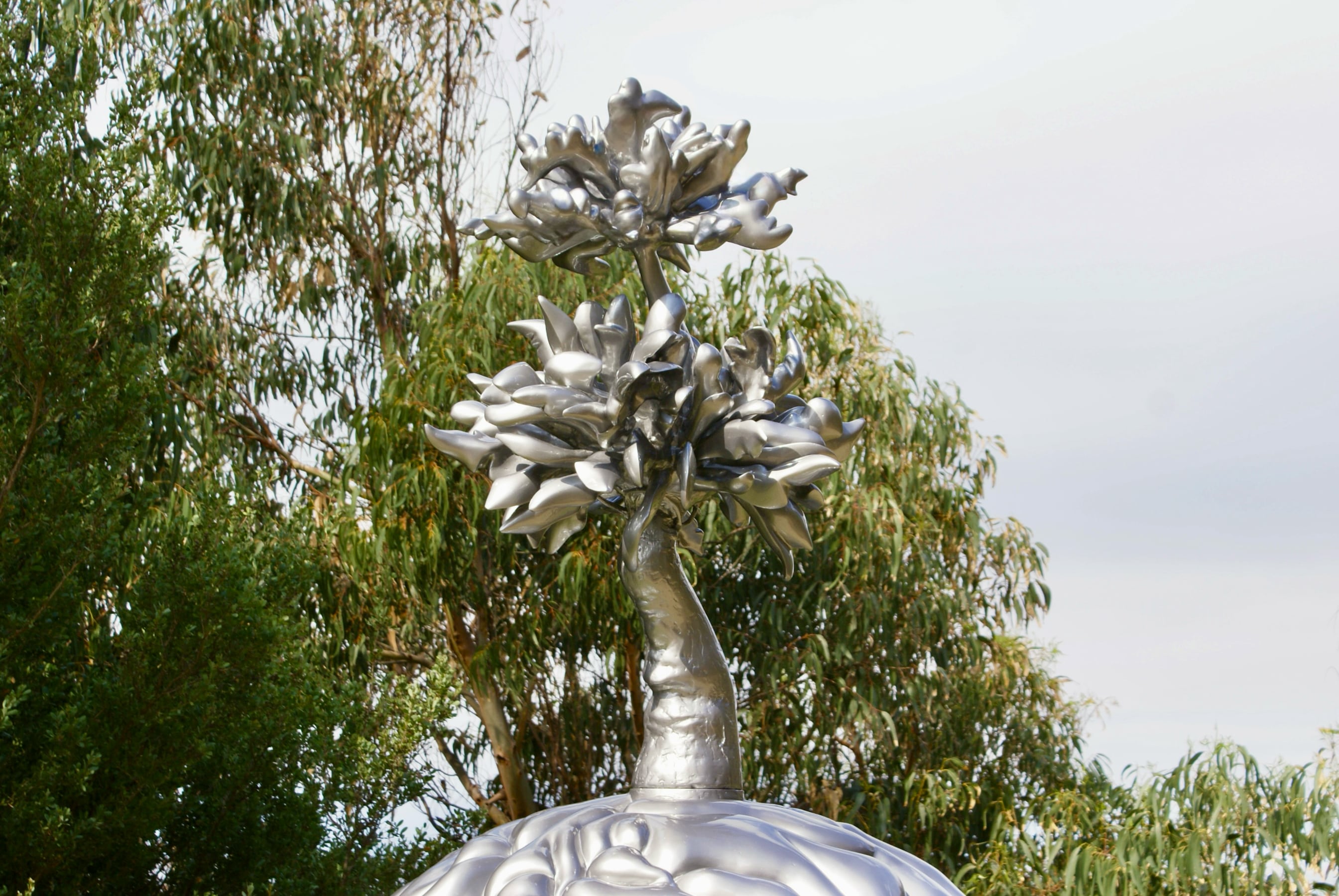 Brain and Tree, 2018. Available to purchase directly from the estate.